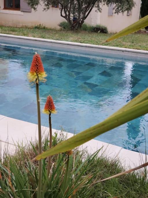 Reve En Luberon Villa Lauris Exterior foto