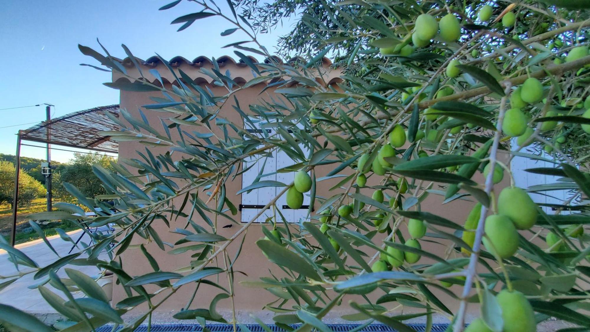 Reve En Luberon Villa Lauris Exterior foto