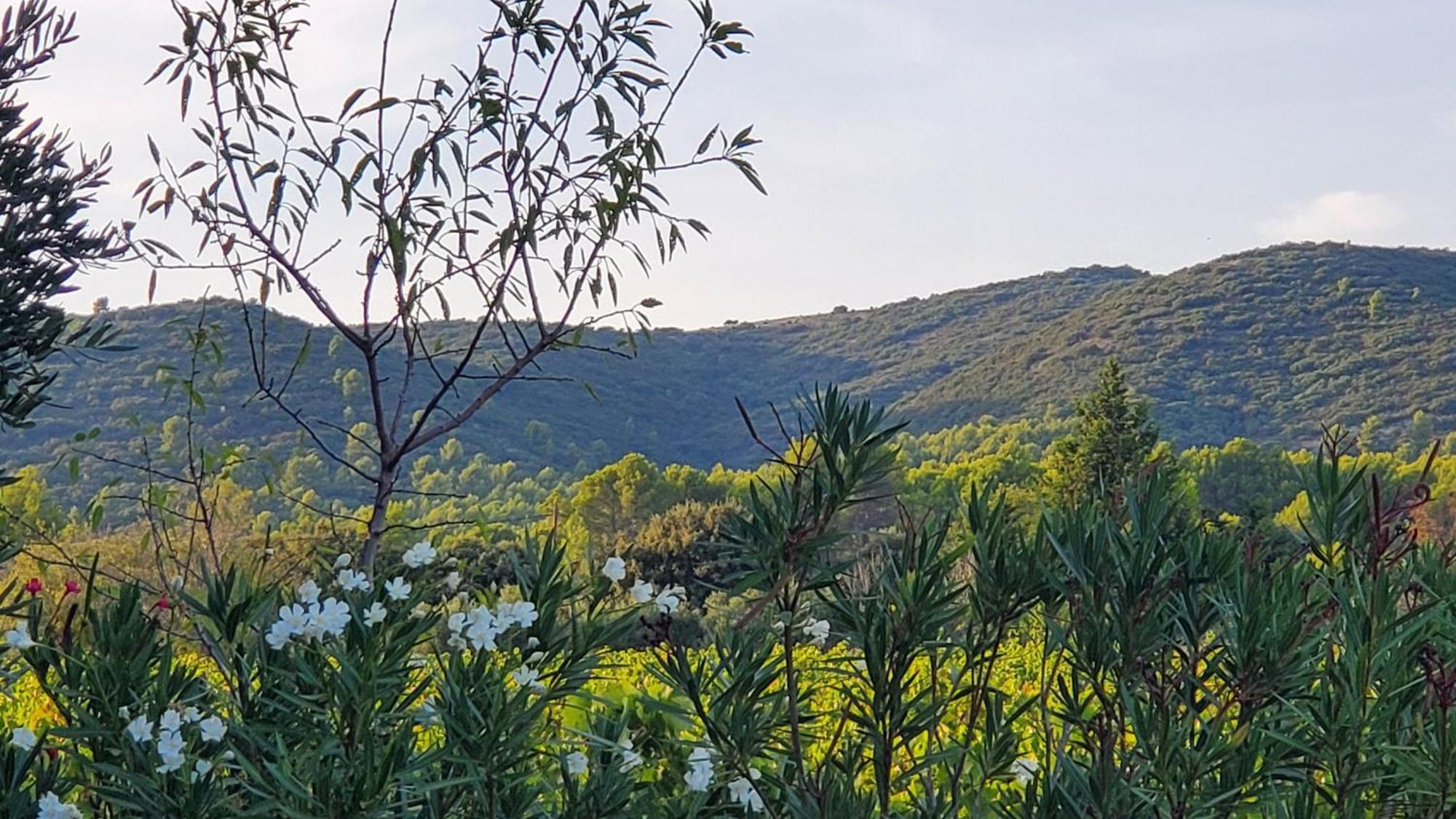 Reve En Luberon Villa Lauris Exterior foto
